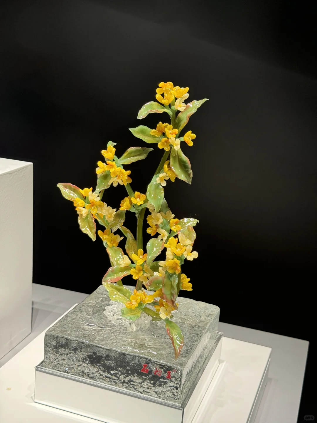 【?淄博】十二花神落人间