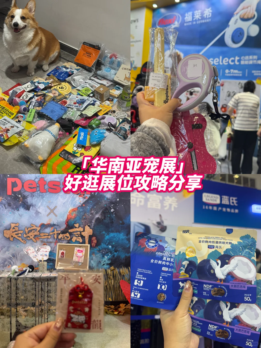 ?深圳华南国际宠物展攻略｜好逛展位分享