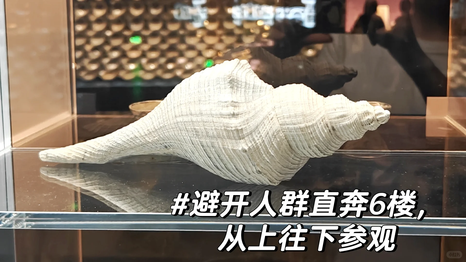 记录25.10.1上海博物馆之旅（东馆）