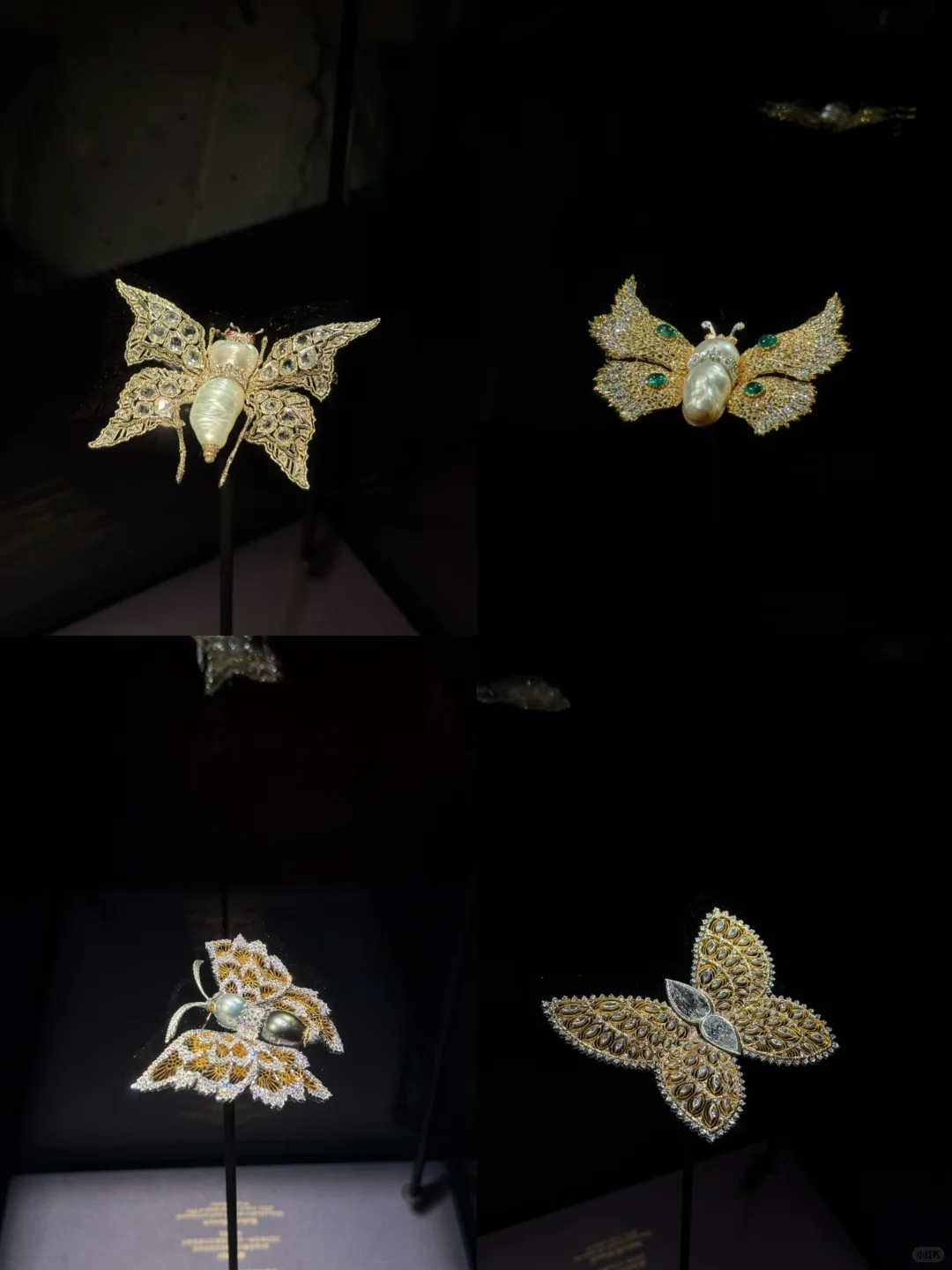 凝时之匠 ? Buccellati布契拉提典藏展