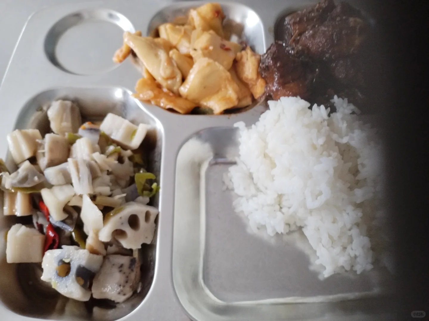 进厂打工第十六天