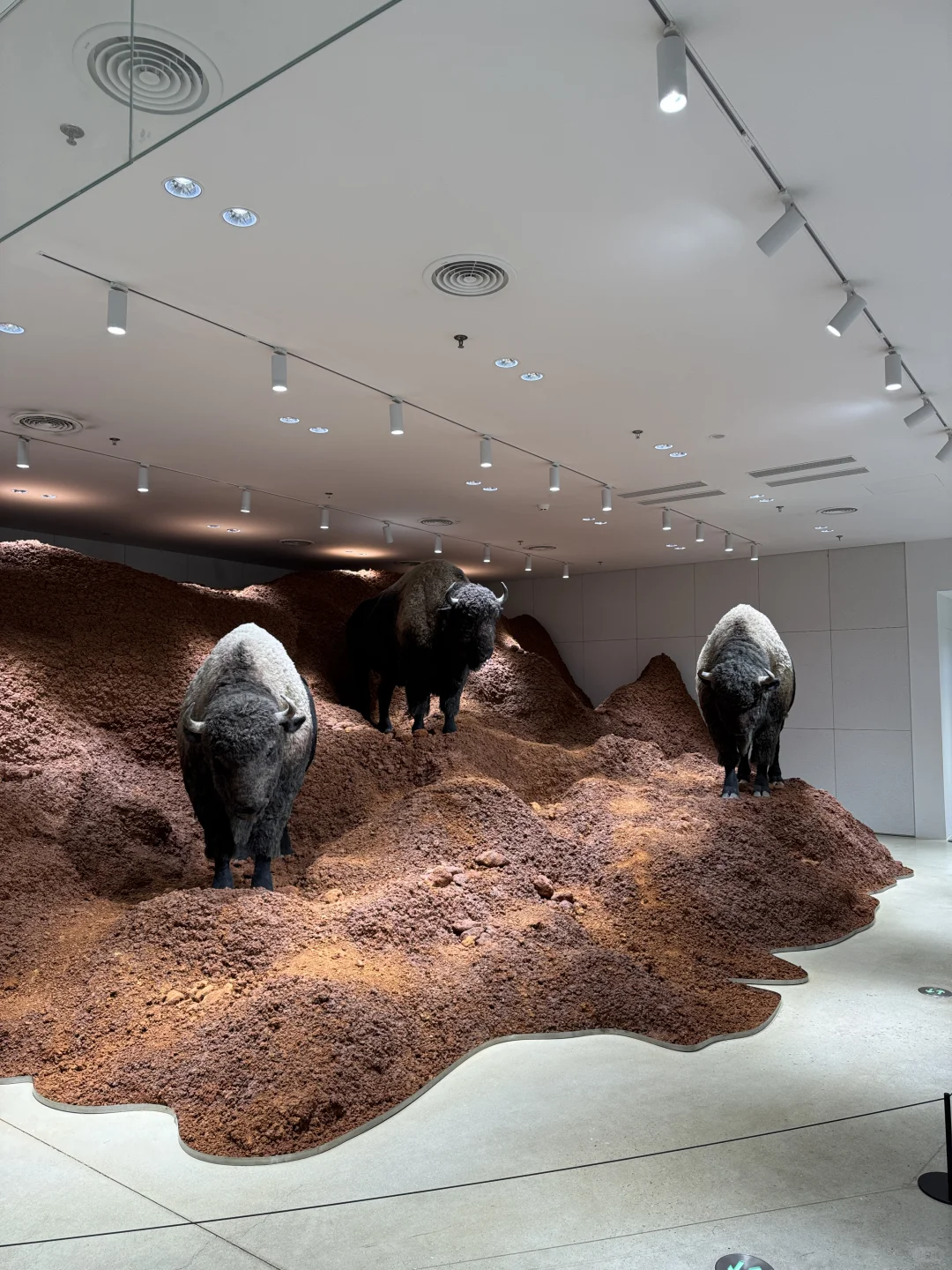 深圳周末游 万象天地巨人展不用排队Get??