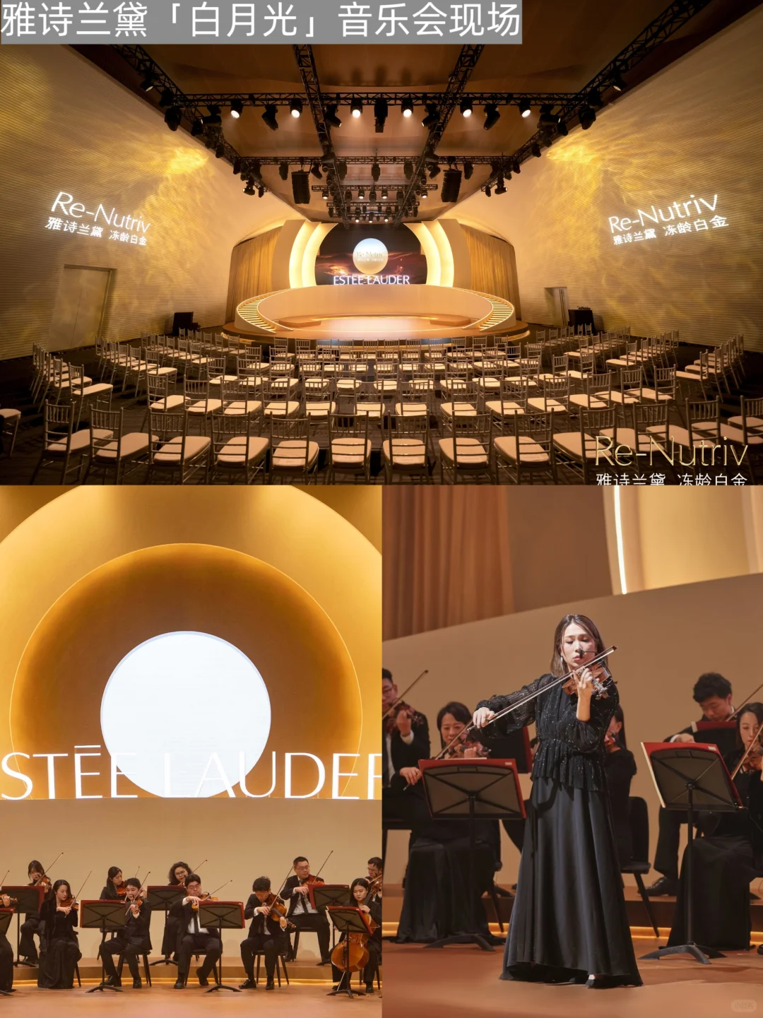 雅诗兰黛整活:官宣朱一龙、前滩开音乐会