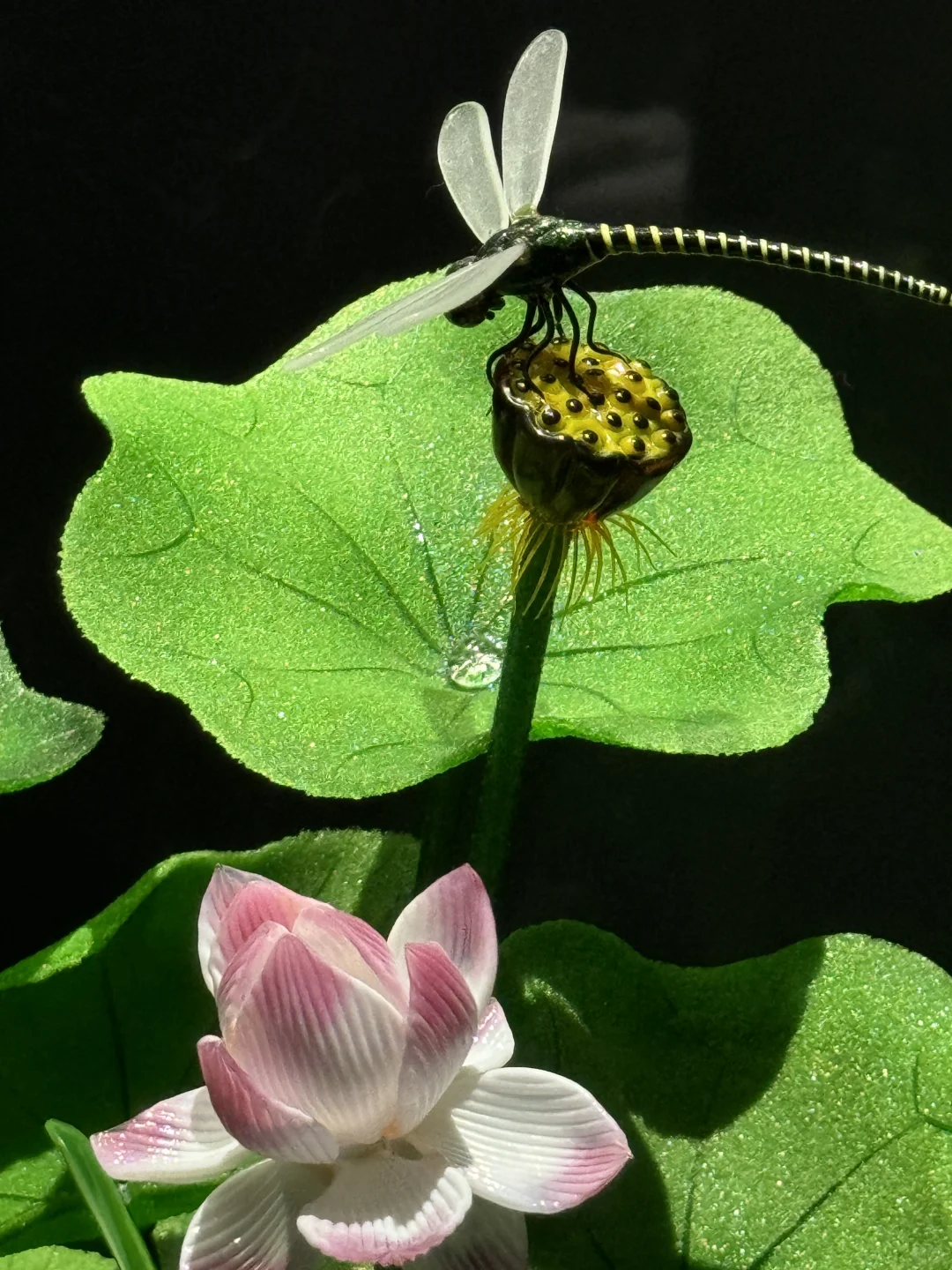 【?淄博】十二花神落人间