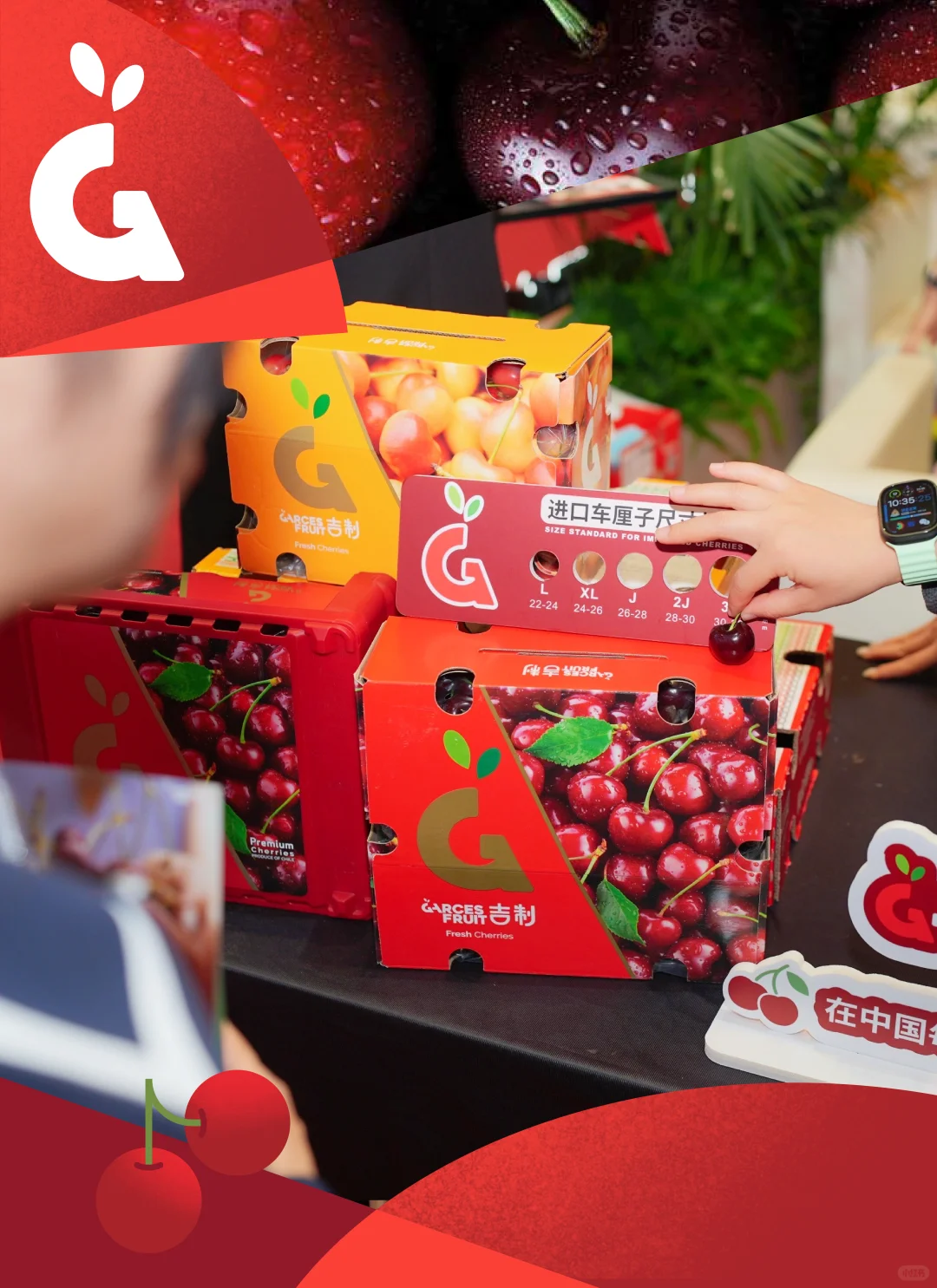 吉制车厘子亮相上海进博会！完美结束！