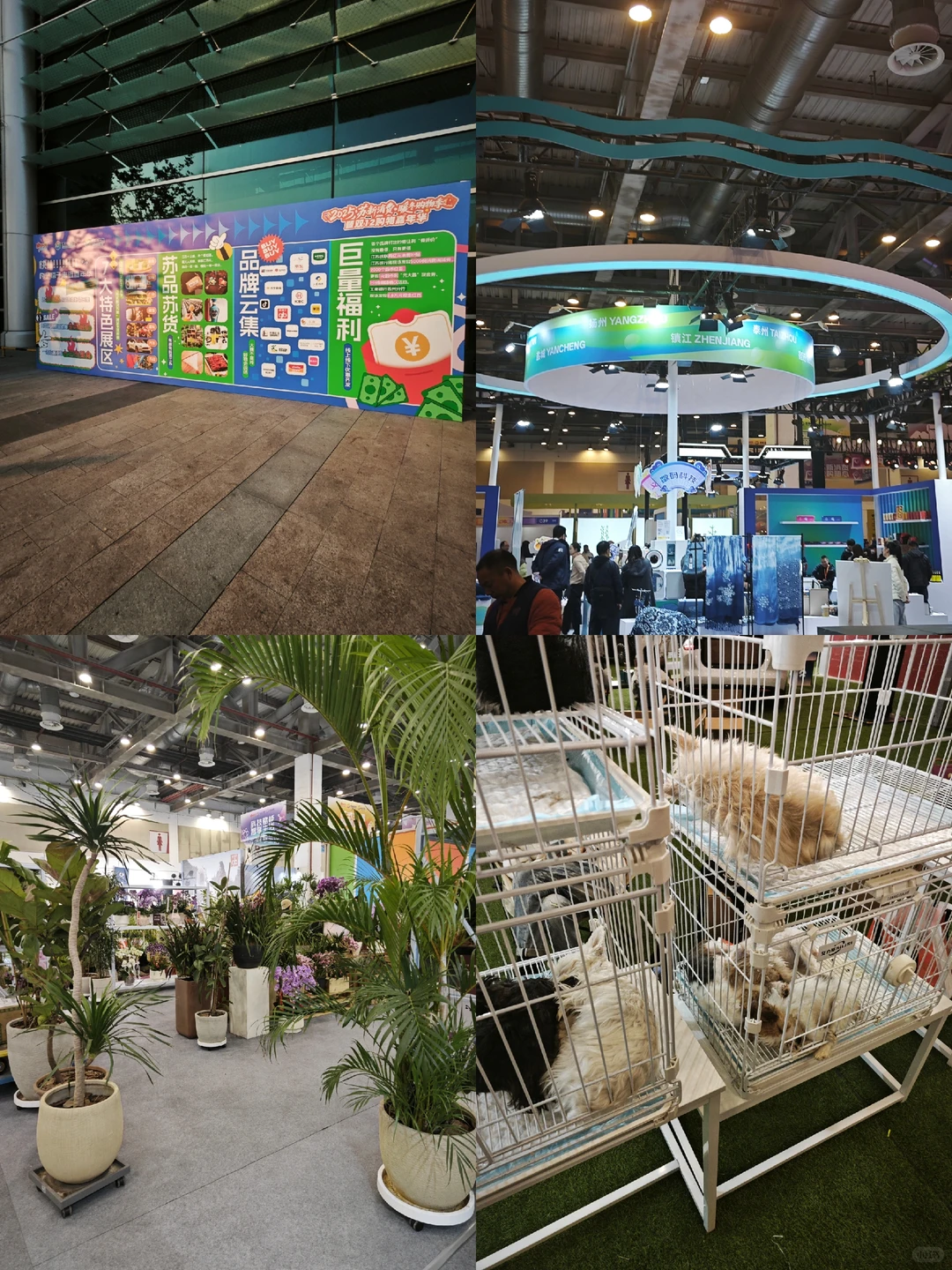 苏州国际博览中心B1馆