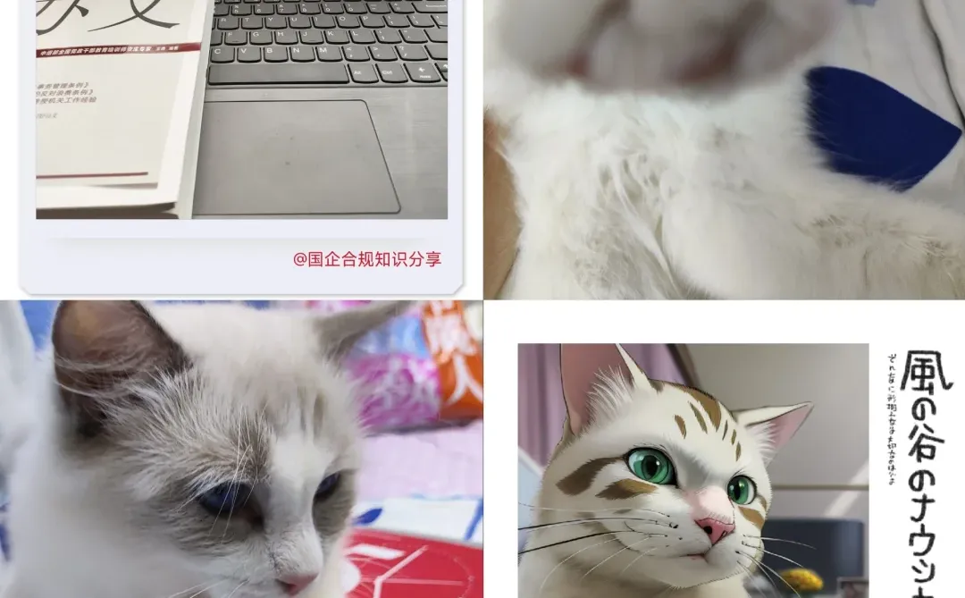 什么是法定招标项目,国企招标底线在哪里?