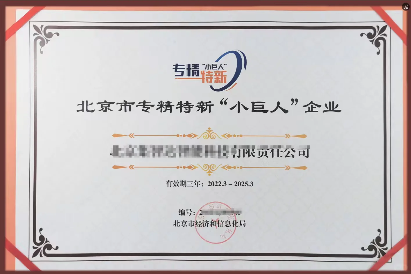 国家专精特新小巨人企业申报