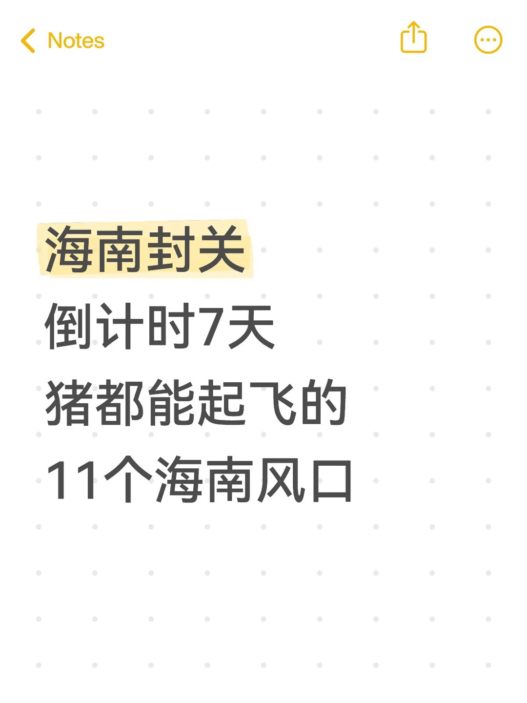 海南封关猪都能起飞的风口