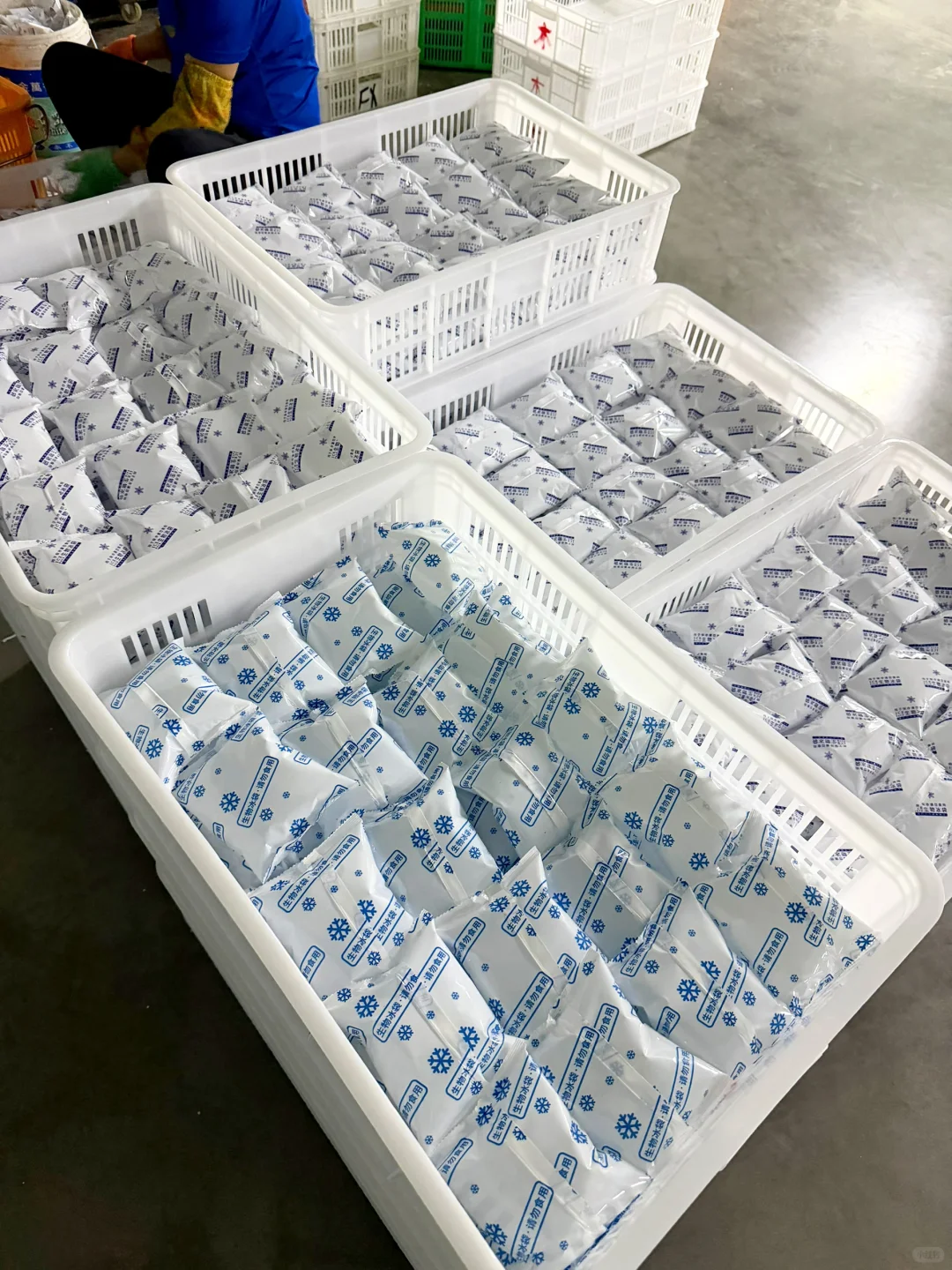 食品果蔬保鲜生物冰袋家用生鲜快递