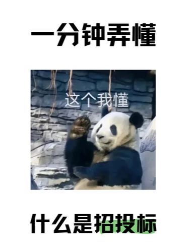 什么是招投标招投标，是招标投标的简称