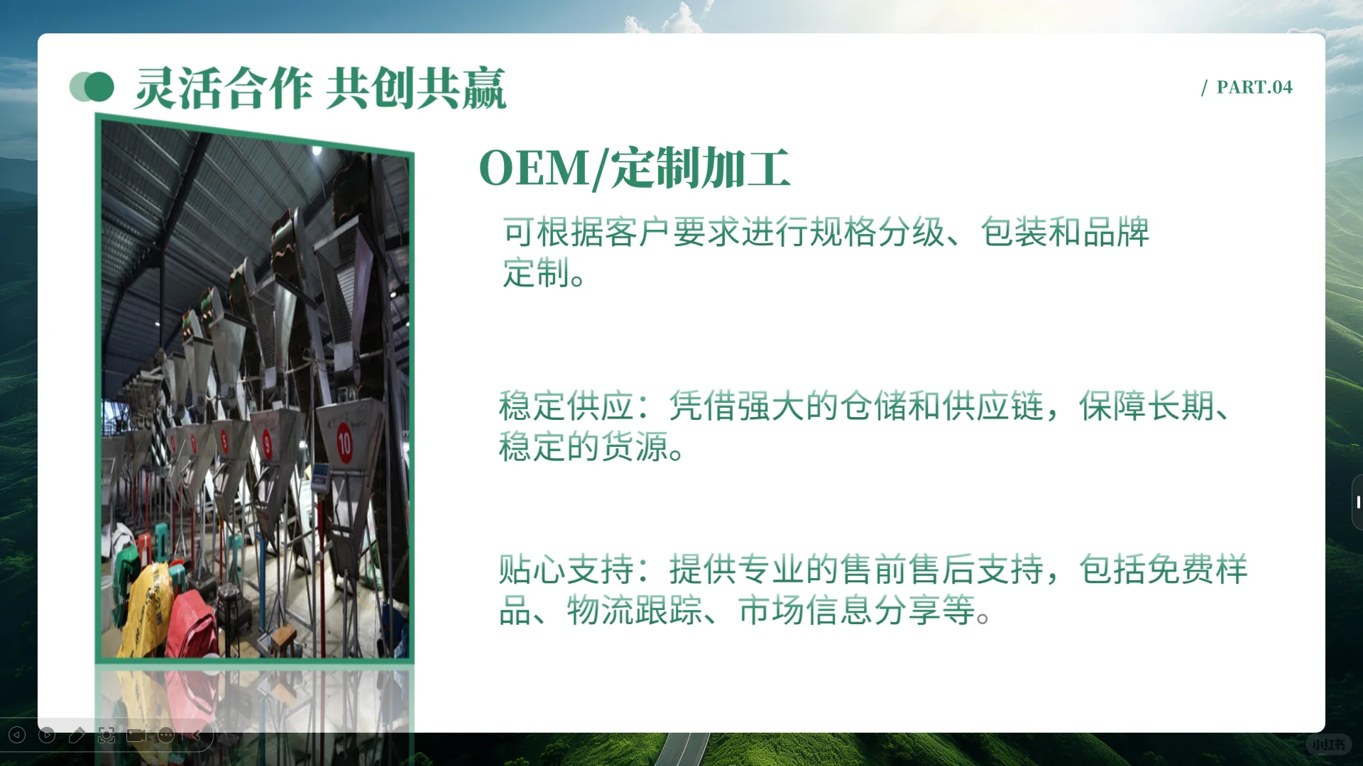中国板栗工厂、板栗外贸企业