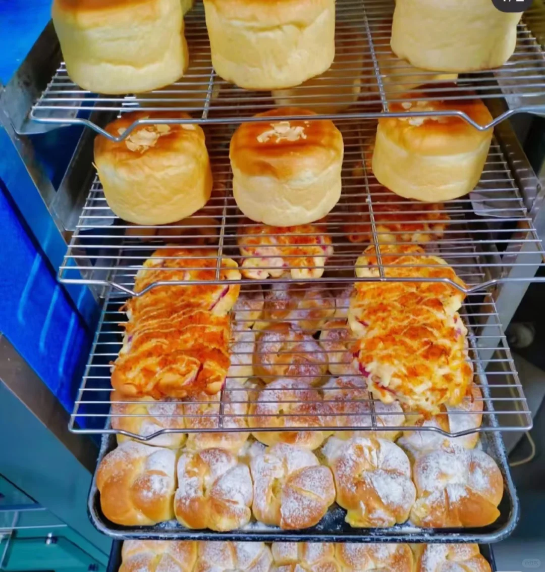 实现面包自由啦 有小姐们一起在这上班吗?