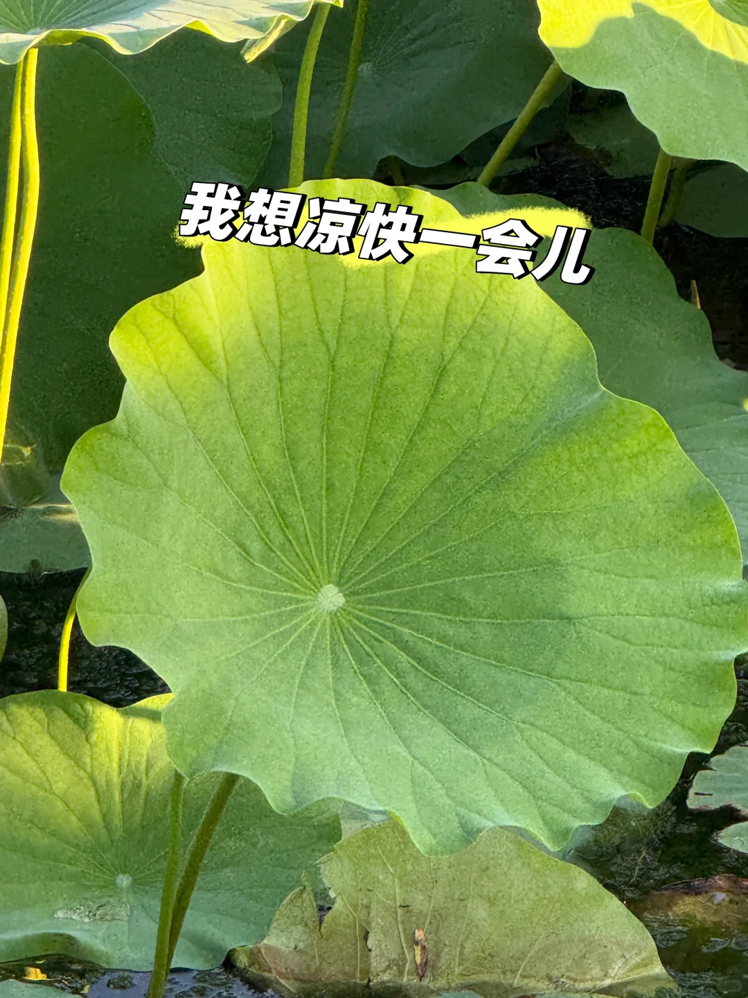 招标代理机构什么时候能不掺和企业招投标？