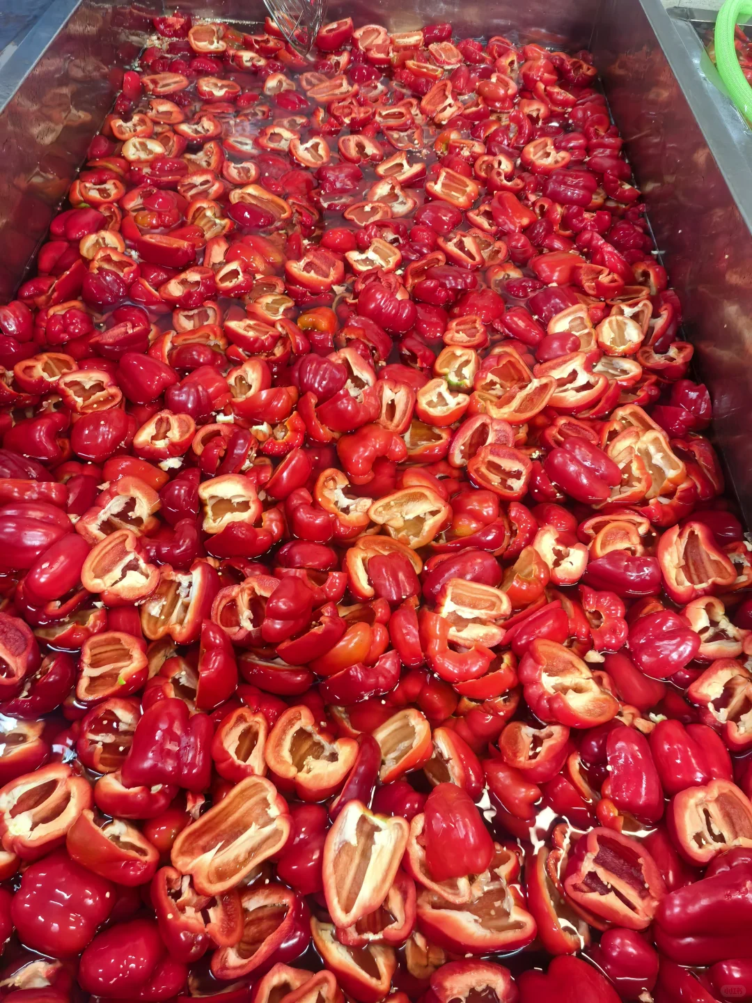 甜椒女工上线|直击工厂生产一线实拍?