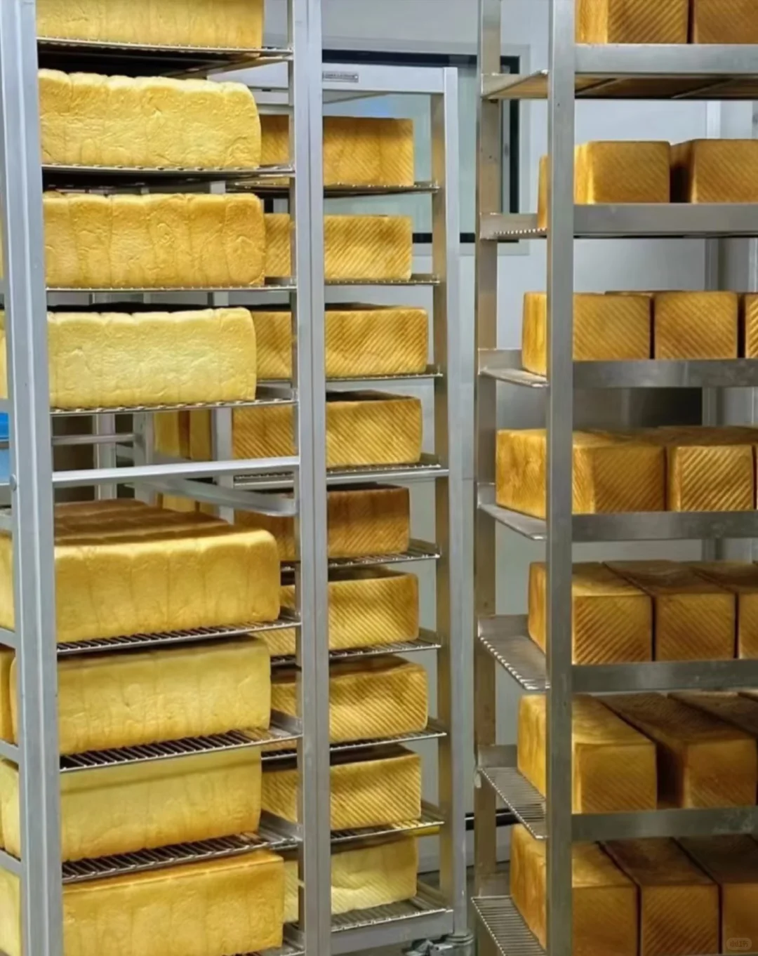 实现面包自由啦 有小姐们一起在这上班吗?