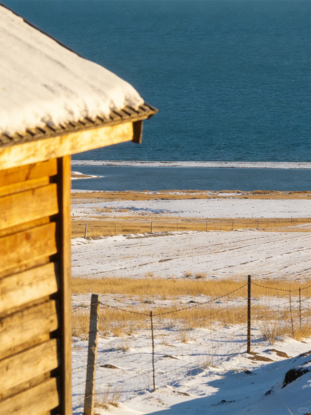 一份来自草原的邀请:你是我们正在寻找的人