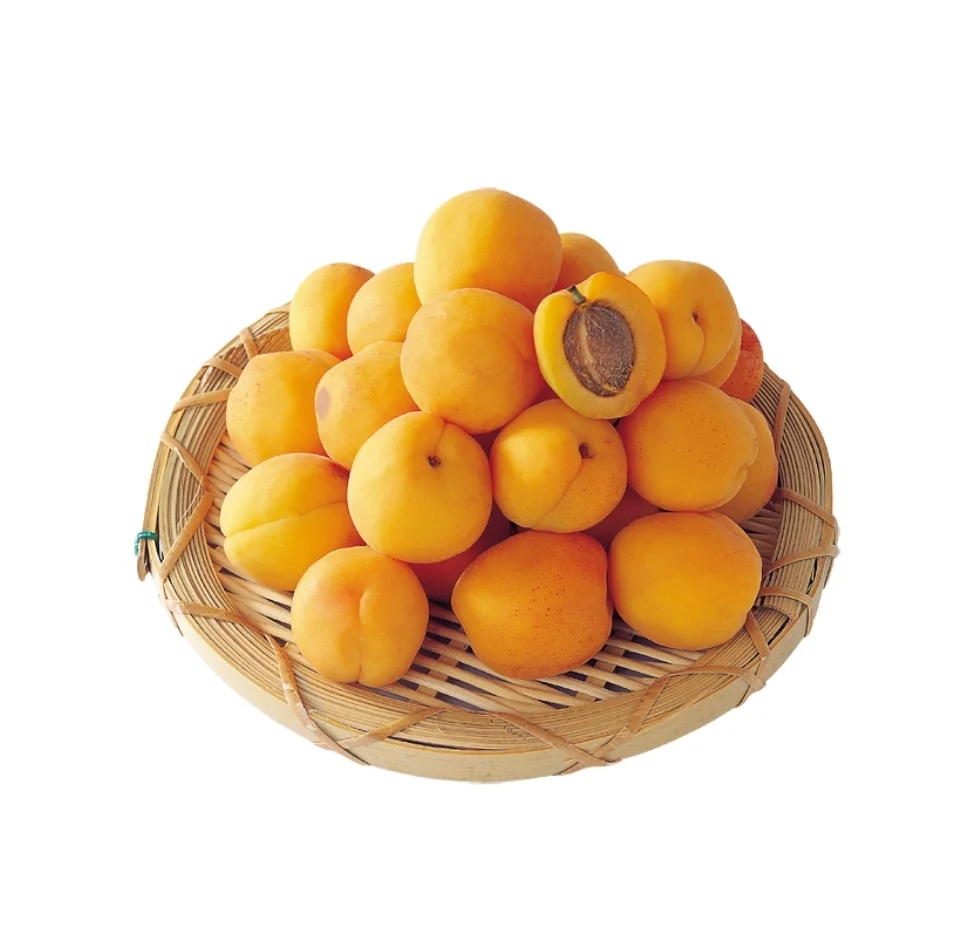 水果可打印素材