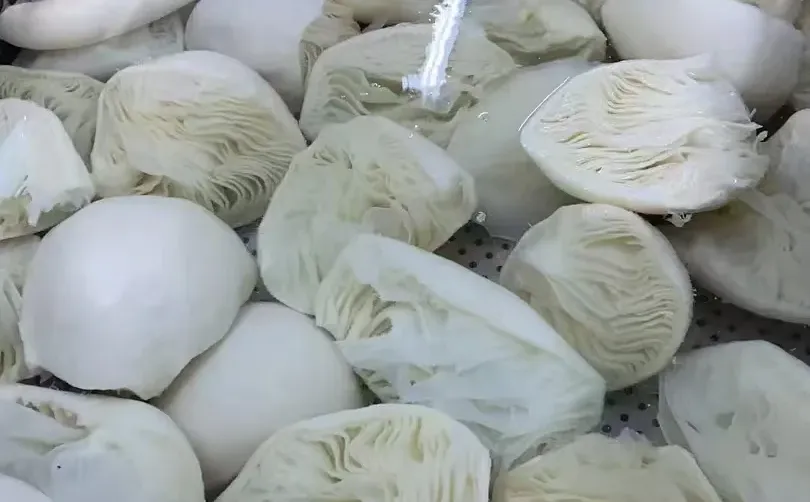 毛肚厂家直销 一件也是批发价