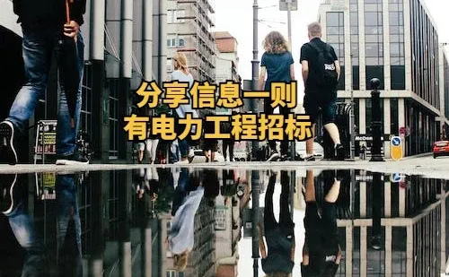 分享一则电力招标的重要信息