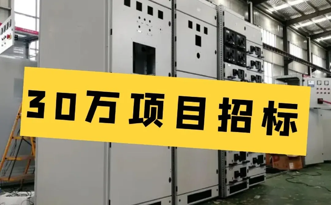 分享一个30w的电力招标