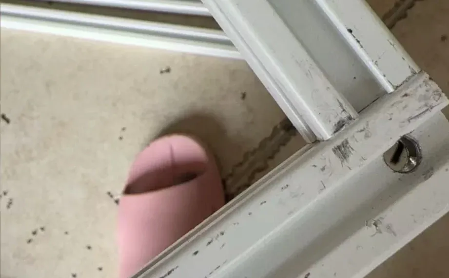 避雷河北一铝厂、木纹转印厂