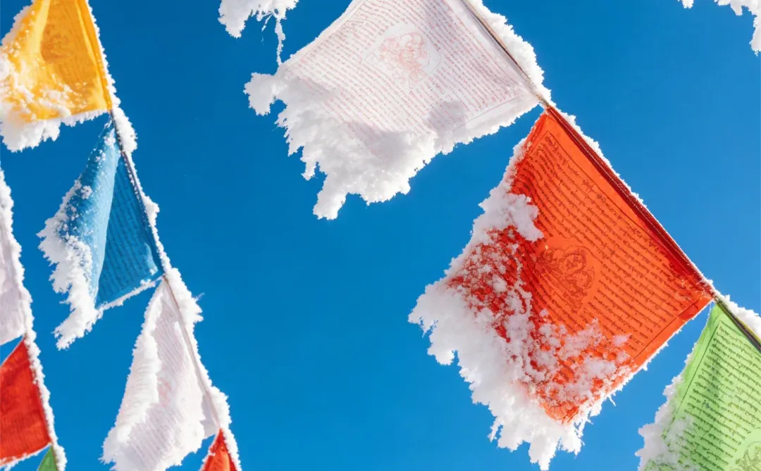 一份来自草原的邀请:你是我们正在寻找的人