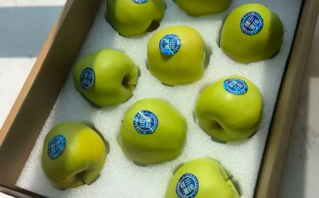 冰箱里的青苹果,是夏天独一份的快乐