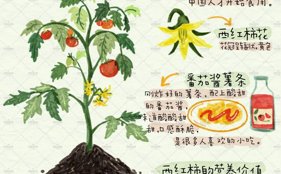 谁懂这九宫格的含金量？植物百科