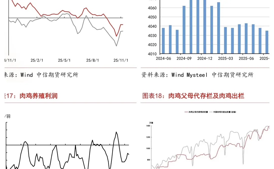 这波玉米暴涨,你跟上了吗?