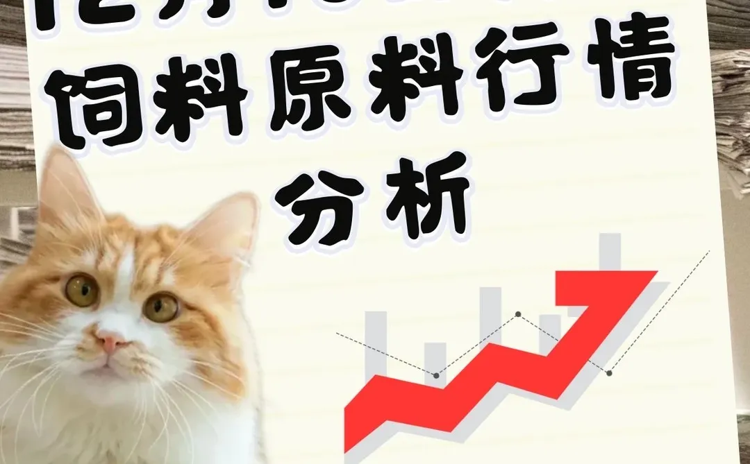 12月10日部分饲料原料行情