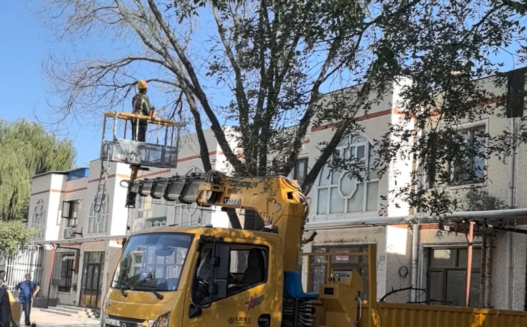 农村林业工人整理树木也用上现代化机械了