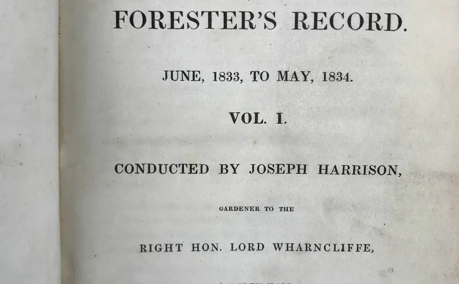 19世纪早期的植物杂志居然要手工给插图上色