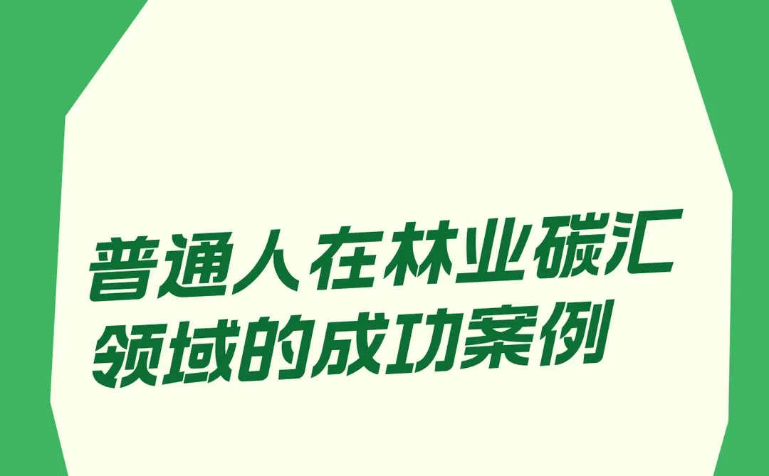 ?绿色收益两不误,林业碳汇新选择!