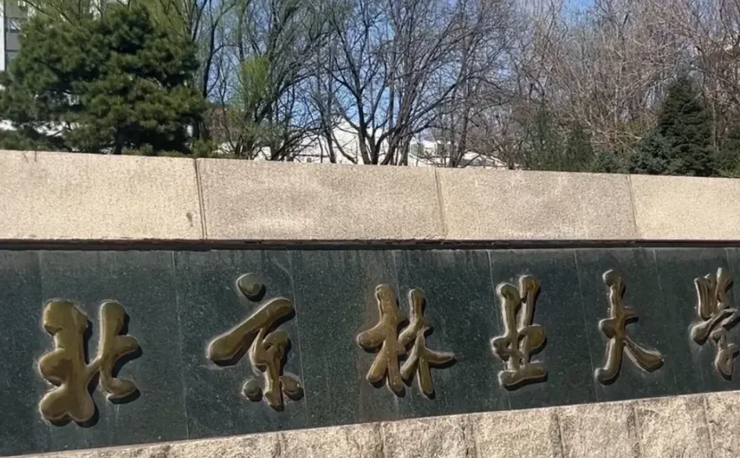 北京林业大学林业