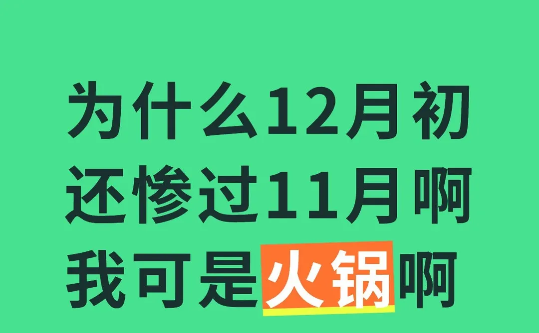 太难了 真的扛不住 12月还比11月差