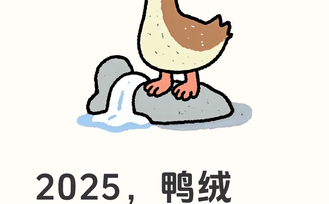 2025第一场雪吃炖大鸭?