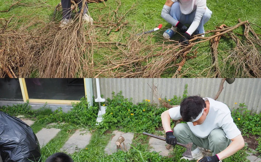 ?废弃树枝大改造！农场变身艺术乐园?