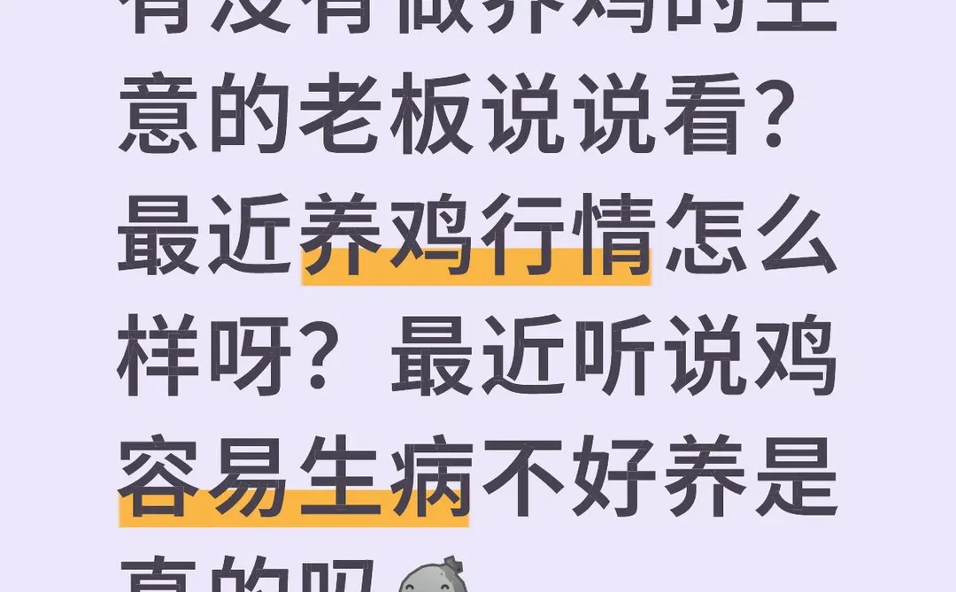 最近鸡肉行情稳定吗？
