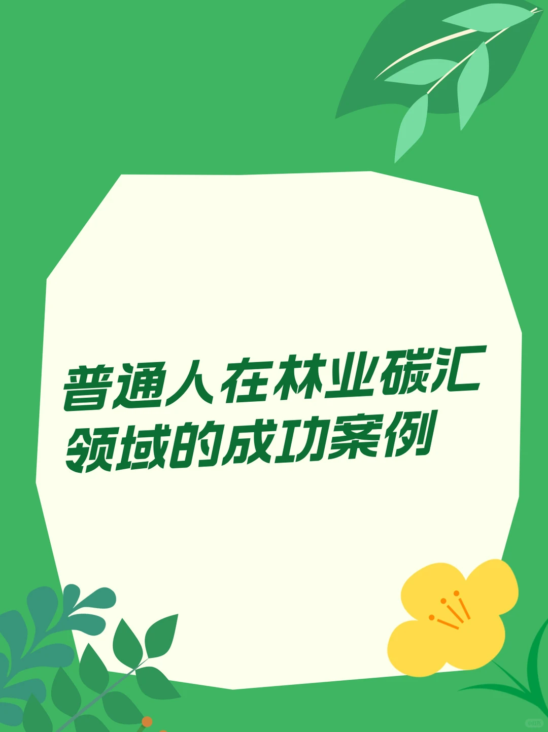 ?绿色收益两不误,林业碳汇新选择!