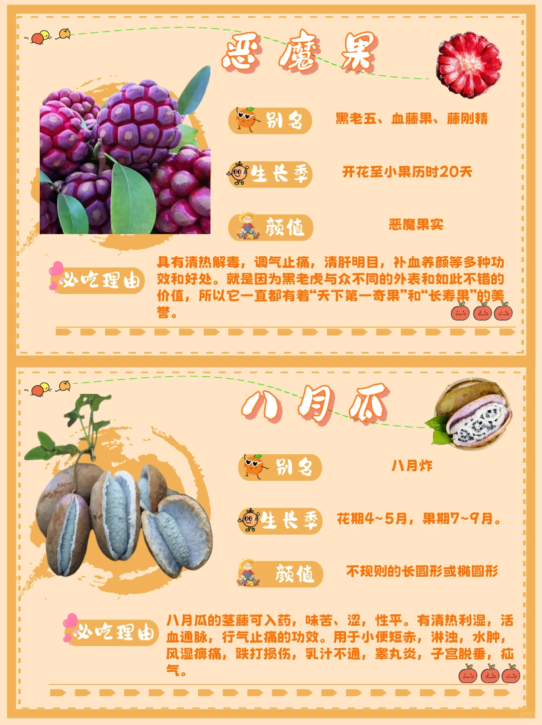 ? 来点云南水果震撼!本地人压箱底清单