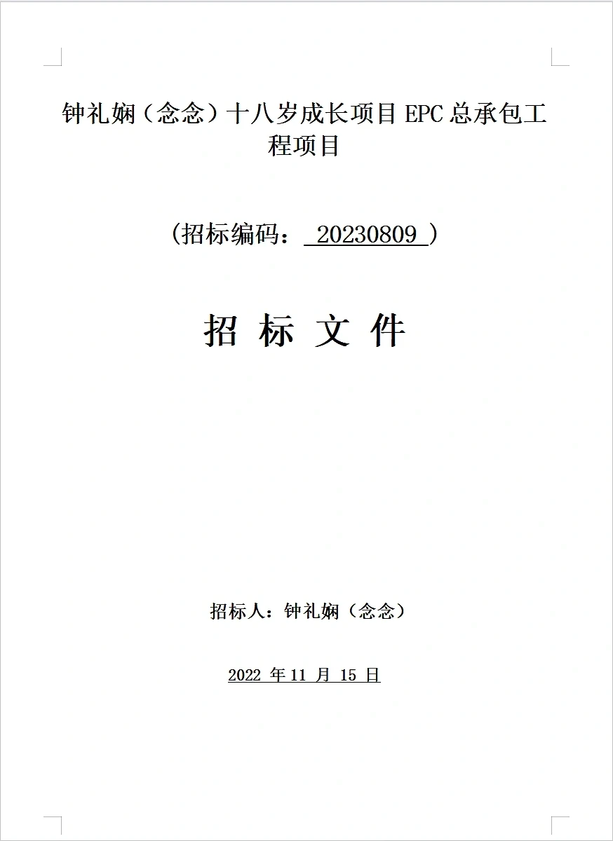 暗箱操作中标了人生最重要的项目