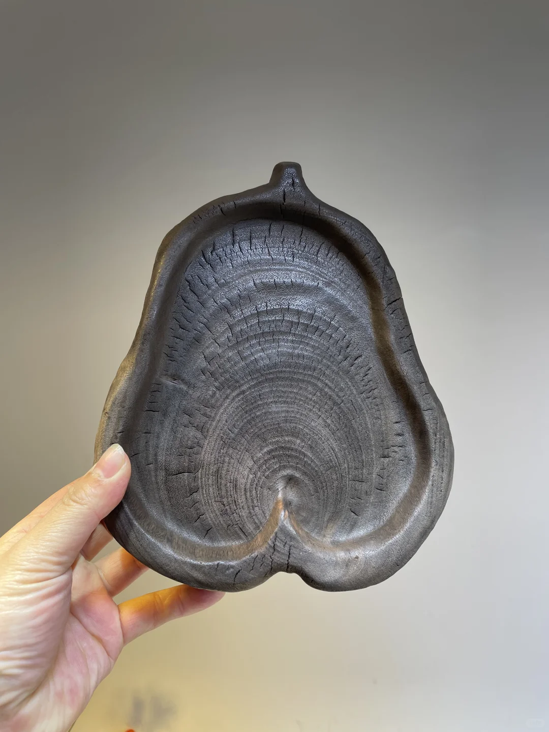 类似于填海批文的证件