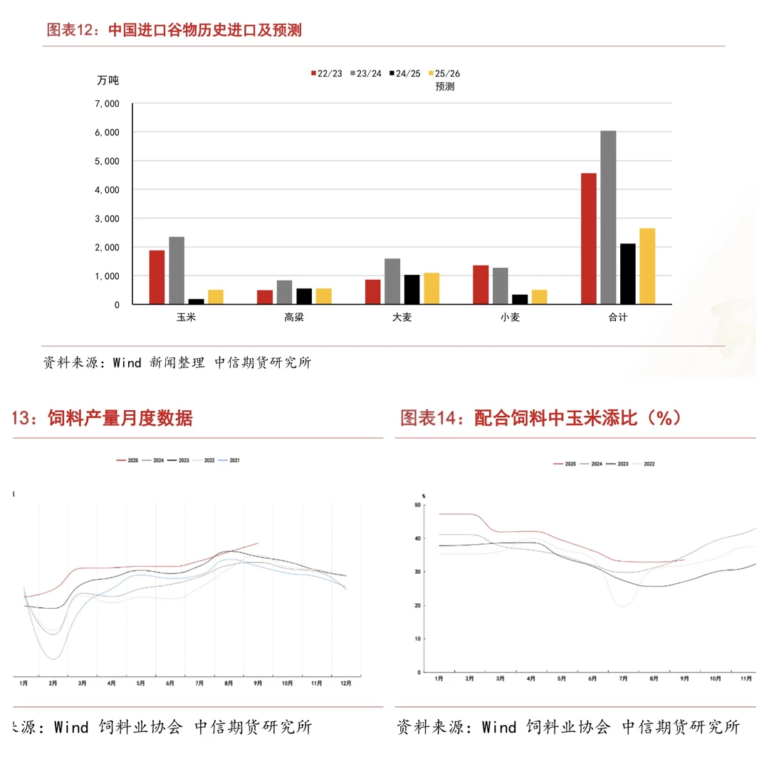这波玉米暴涨,你跟上了吗?