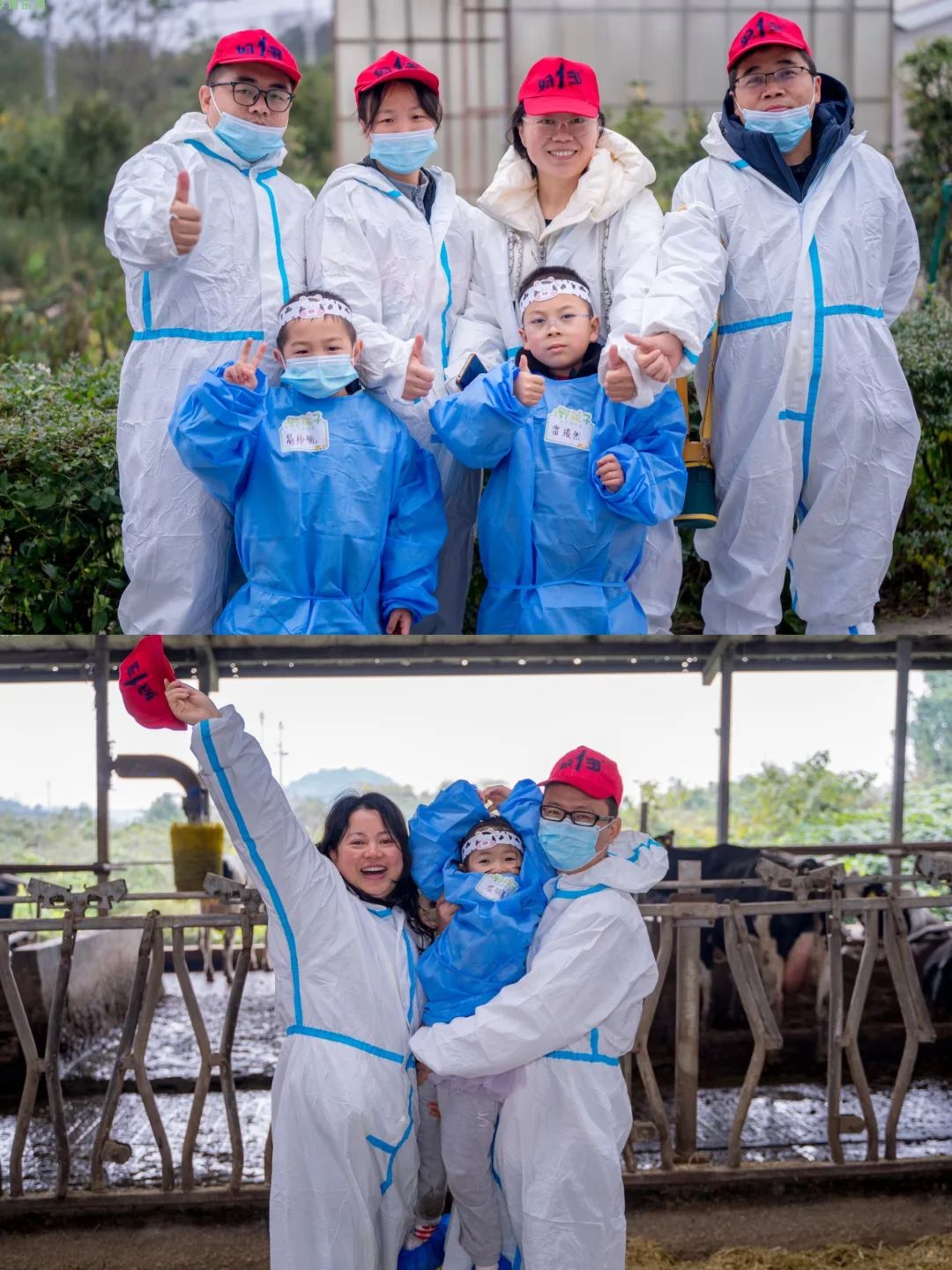 好一多牧场开放日!带娃探秘贵阳奶牛王国?