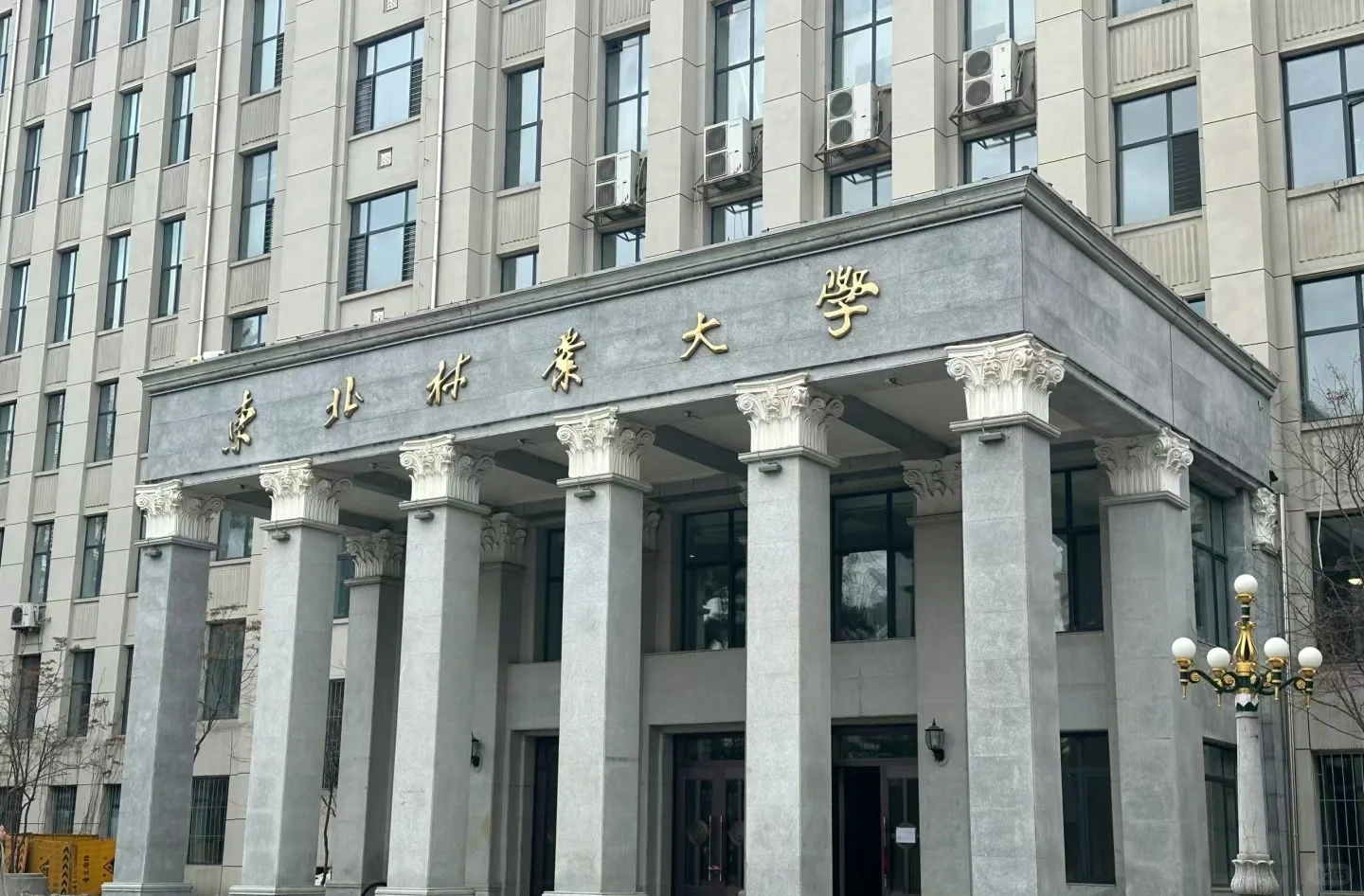 24上岸东北林业大学林业专硕