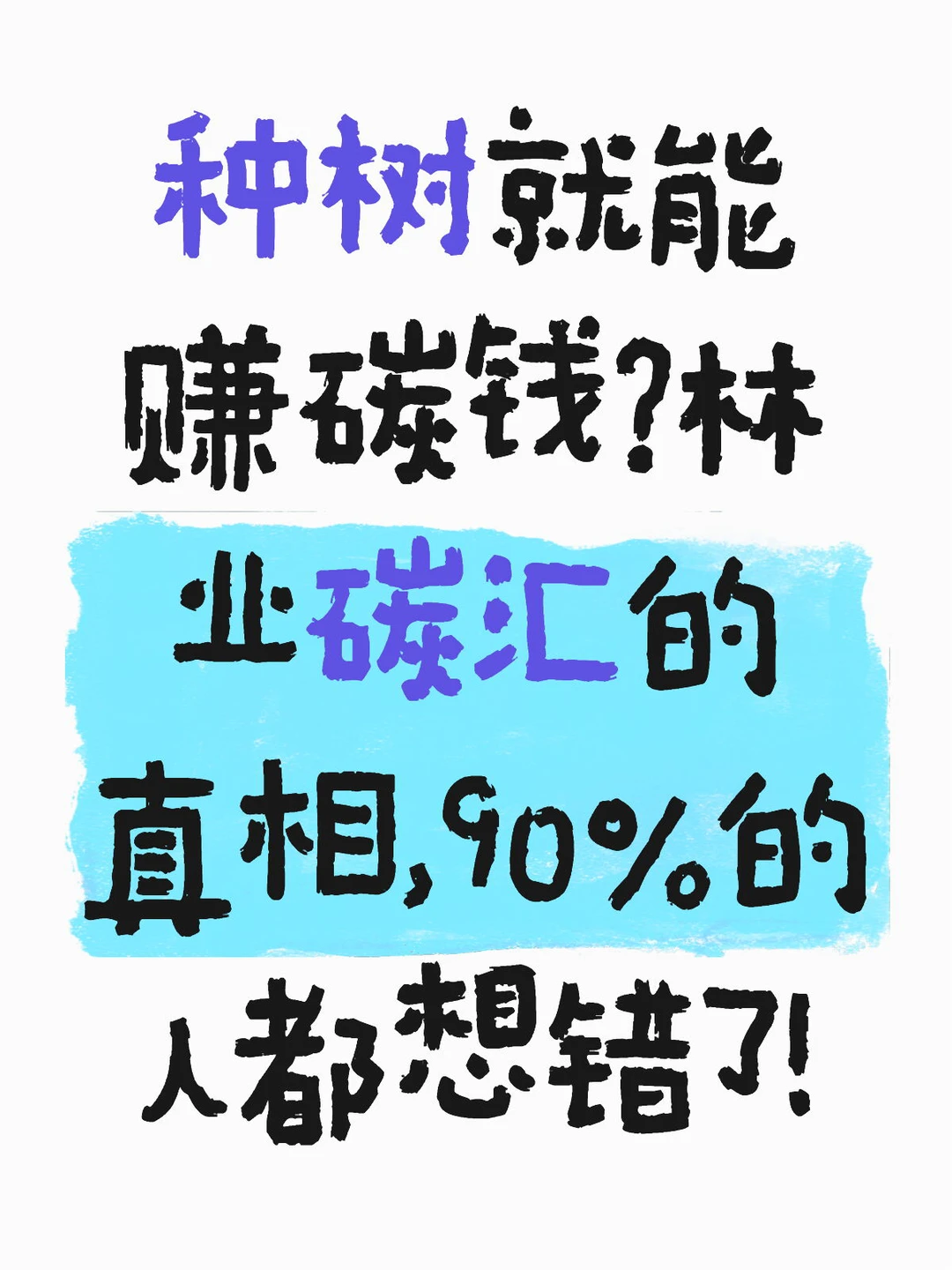 双碳篇:林业碳汇真相了