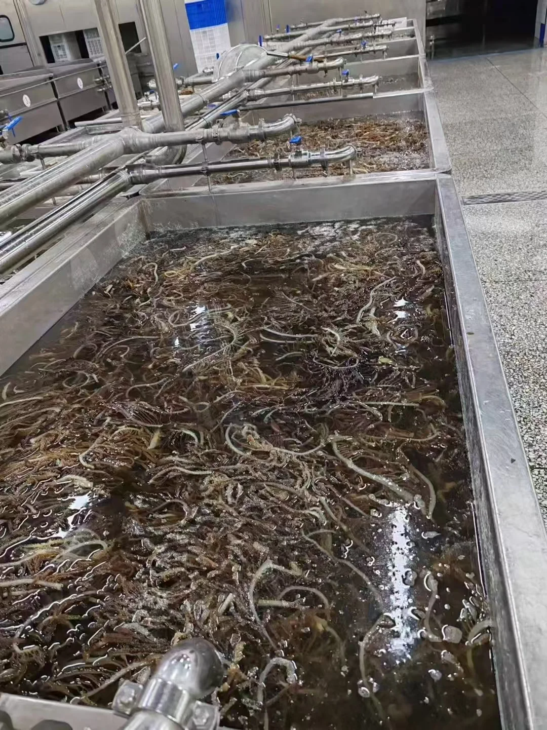 毛肚厂家直销 一件也是批发价