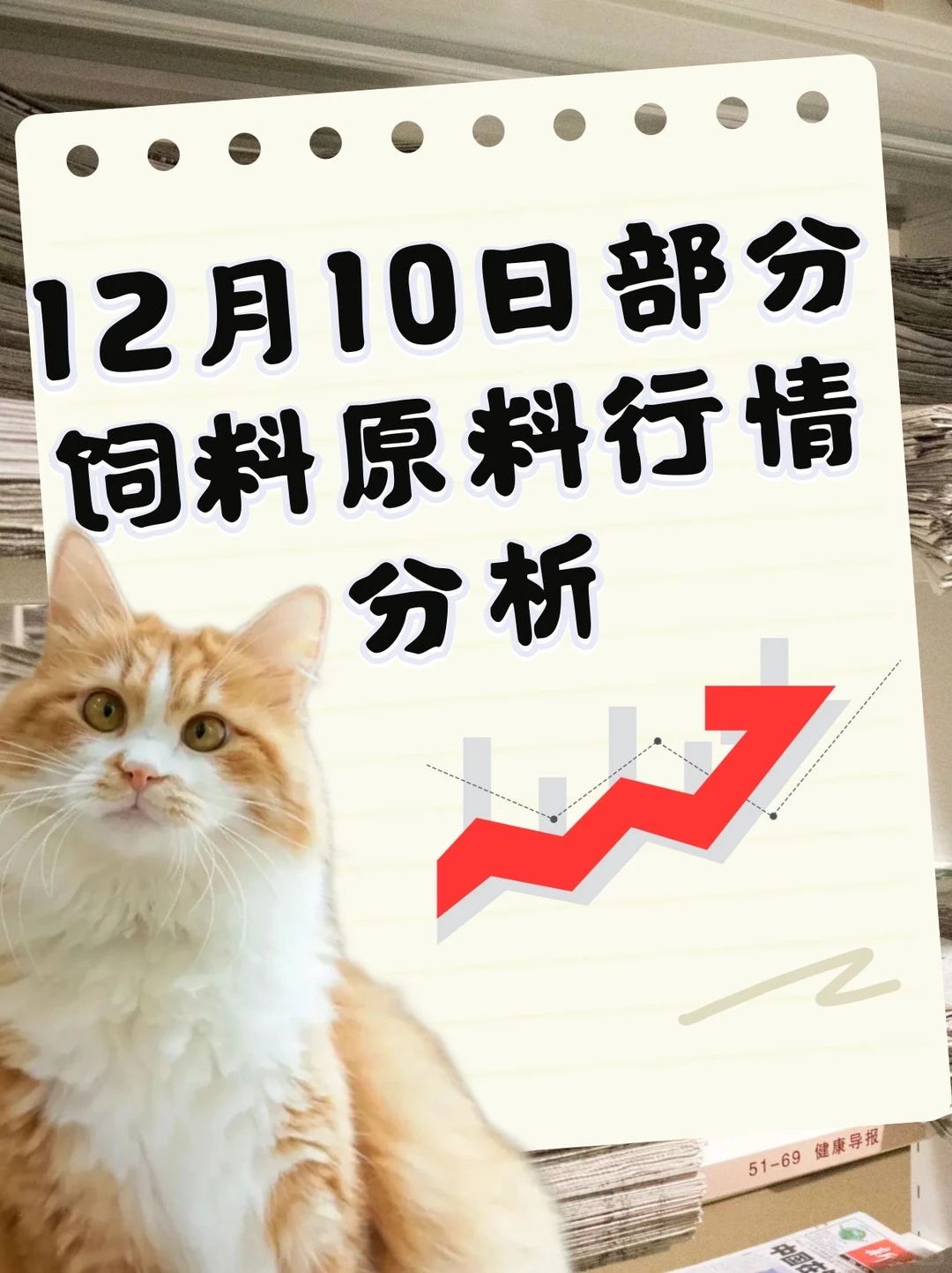 12月10日部分饲料原料行情