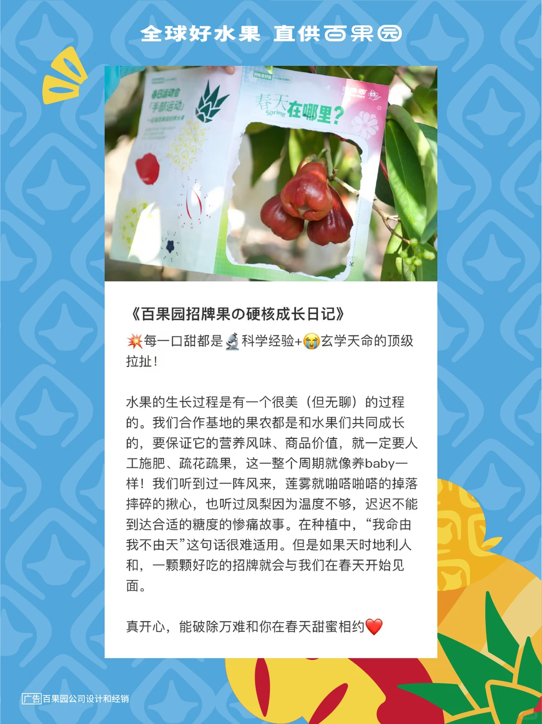 《百果园招牌水果生长图鉴》